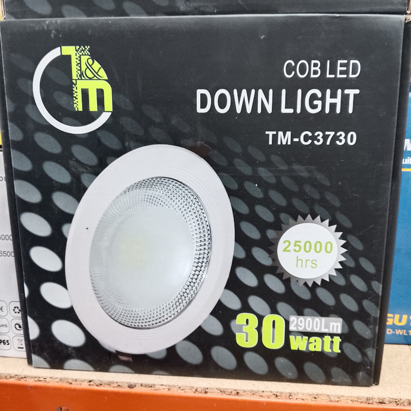 Foco LED 30W blanco tipo downlight T-M