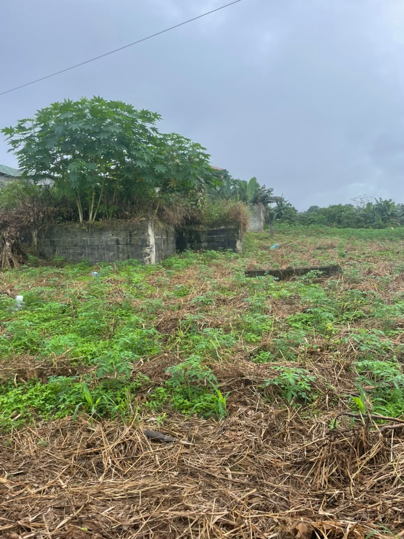 Terreno en venta, Amplio y bien ubicado - 1000M